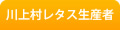 川上村レタス生産者