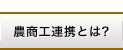 農商工連携とは？