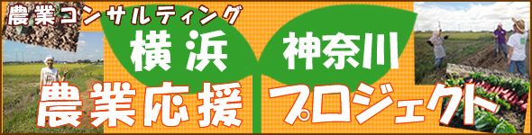 横浜・神奈川野菜応援プロジェクト